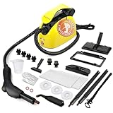 Waitbird Dampfreiniger mit 21 Zubehörteilen, 248°F Hochtemperatur, 1,1L...