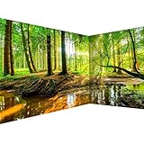 murando Eckfototapete Wald Landschaft 550x250 cm Vlies Tapeten Wandtapete...