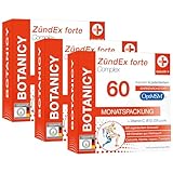 BOTANICY Zündex Forte Complex 3er Pack - OptiMSM Hochdosiert, Extrakt aus...