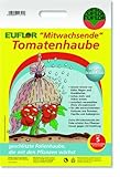 EUFLOR Tomatenhaube mitwachsend UV-stabil 5 Stück Schwarz 1,25 m