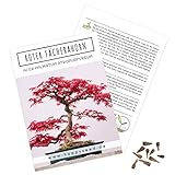 Außergewöhnliche Bonsai Samen mit hoher Keimrate - Pflanzen Samen Set...