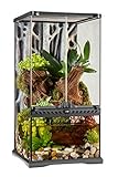 Exo Terra Terrarium aus Glas, mit einzigartiger Front Belüftung, 30 x 30 x...