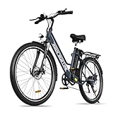 RCB E Bike 26-Zoll-Elektrofahrrad 36V 12AH Lithiumbatterie 90KM Reichweite...