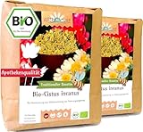 Cistus Tee - Cistus incanus Tee - Bio Zistrosenkraut geschnitten (1000g)