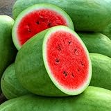 Wassermelone Charleston Gray - Gewicht: 10-15kg - Melone - Ein Klassiker...