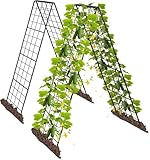 2 Stück Metall Gurke Rankgitter A-förmiges Tomaten Rankhilfe Garten,...