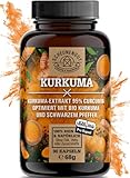 Kurkuma Kapseln - WICHTIG: 50:1 Extrakt (=15800mg Curcuma pro Stk) MIT 95%...