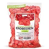 GEFRIERGETROCKNETE ERDBEEREN, 100g Früchte in Scheiben, 100%...