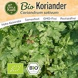 Little Plants BIO Koriander Samen 125 Koriandersamen Kräutersamen für...