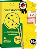 60x Gelbsticker Trauermücken | Testsieger - Sehr Gut | Gelbtafeln inkl....