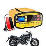 12 Volt Autobatterie Ladegerät | 12V 24V Autobatterieladegerät,Mit...