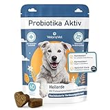 VeloraVet Probiotika Hund – Magen Darmsanierung & Darmkur für...