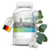 Vitabay Weihrauch 400 mg vegane Tabletten • 240 Weihrauchkapseln...