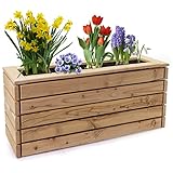Holzfee Pflanzkasten Linea 116 x 30 x 44 cm Lärchenholz