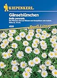 Kiepenkerl Profi-Line Gänseblümchensamen 4520 • Beliebte Wildblume •...