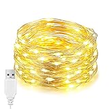 EvaStary LED-Lichter, 100 33ft USB-LEDs, wasserdichte Silberdraht-Lichter,...