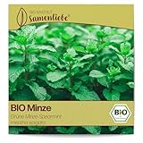 Samenliebe BIO Minze Samen alte Sorte Grüne Minze Spearmint 1000 Samen...