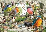 Ravensburger Our Feathered Friends 1000 Teile Puzzle für Erwachsene |...