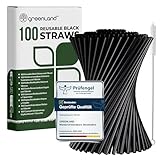 Greenland® 100 Wiederverwendbare Schwarze Trinkhalme mit Bürste – 21 cm...