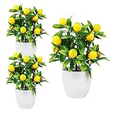 WIVAYE Künstlicher Zitronenbaum, Mini-Topfpflanzen, Bonsai, künstlicher...