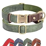 Didog Weich gepolstertes Lederhalsband für mittelgroße Hunde, klassisches...