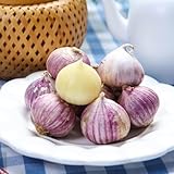 200 pcs Knoblauch Samen Kaufen, Knoblauchsamen, Zimmerpflanzen Samen...