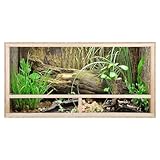 REPITERRA Terrarium für Reptilien & Amphibien, Holzterrarium mit...