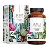 Immunsystem-Komplex - 500mg Echinacea mit Vitamin C Zink Selen L-Histidin &...