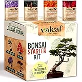 valeaf Bonsai Starter Kit I Bonsai Anzuchtset Geschenk für deinen Bonsai...