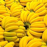 BananenpflanzeSamen, garten bananenpflanze obstgarten exotische kaufen...