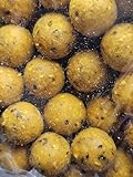Top Secret Premium Boilies im 1 KG Beutel (Scopex/Nuss, 16mm)