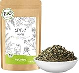 Sencha Tee BIO 500 g I lose und geschnitten I aromatischer bio Sencha...