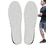 Komfort-Insolen für Wohnungen – Fitness – Outdoor Fine,...