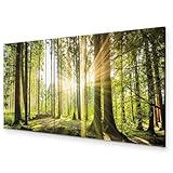 murando - Akustikbild Wald 225x90 cm 5 tlg Bilder Akustikschaum...