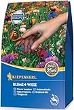 Kiepenkerl Blumen-Wiese 0,25 kg - Artenreiche Blumen-Wiesen Samen,...