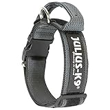 JULIUS K-9 200HA-K-2015 Color & Gray series-K9-Halsband mit Haltegriff,...