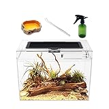 Reptile Growth Mini Terrarium Komplettset, 12' x 7'x 9' Faunarium...