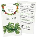 Feldsalat Samen Winterhart: Premium Feldsalat Saatgut für ca. 1000...