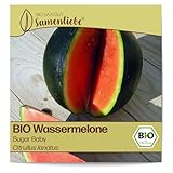 Samenliebe BIO Wassermelonen Samen alte Sorte Sugar Baby besonders süße...