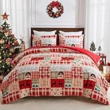 DECMAY Weihnachts-Bettwäsche-Set, King-Size-Bett, wendbar,...