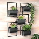 DanDiBo Kräuterregal Küche Wand Metall Schwarz 96525 Wandregal...