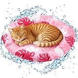 Drydiet Haustier-Kühlmatte für Katzen und kleine Hunde, 50,1 x 50,3 cm,...