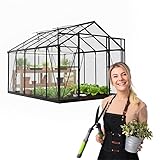 Gewächshaus klein 302x247x230 cm Verbena II - Gewächshaus mit Fundament -...