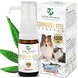 GLOBAL NATUREON® Cannabiu Pets Öl 1000 mg (30 ml) auf Lachsölbasis,...