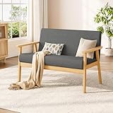 Dripex Sofa 2 Sitzer, Stoffsofa Couch Modern und Skandinavisch, Loungesofa...