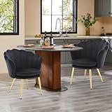 Esszimmerstühle 2er Set 150KG，Schminktisch Stuhl aus...