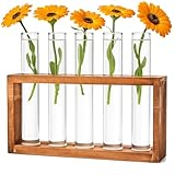 Cieex Reagenzgläser Blumenvase - Kleine Reagenzglas Vasen mit Ständer...