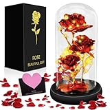 MOYKSRR Ewige Rose, Die Schöne und das Biest Ewige Rose, Rose Geschenk...