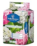 Floragard Endless Summer Hortensienerde rosa/weiß 20 L • zum Pflanzen...