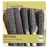 Samenliebe BIO Mais Samen BIO Gemüsesamen alte Sorte Speisemais schwarzer...